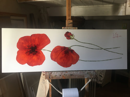 Poppies