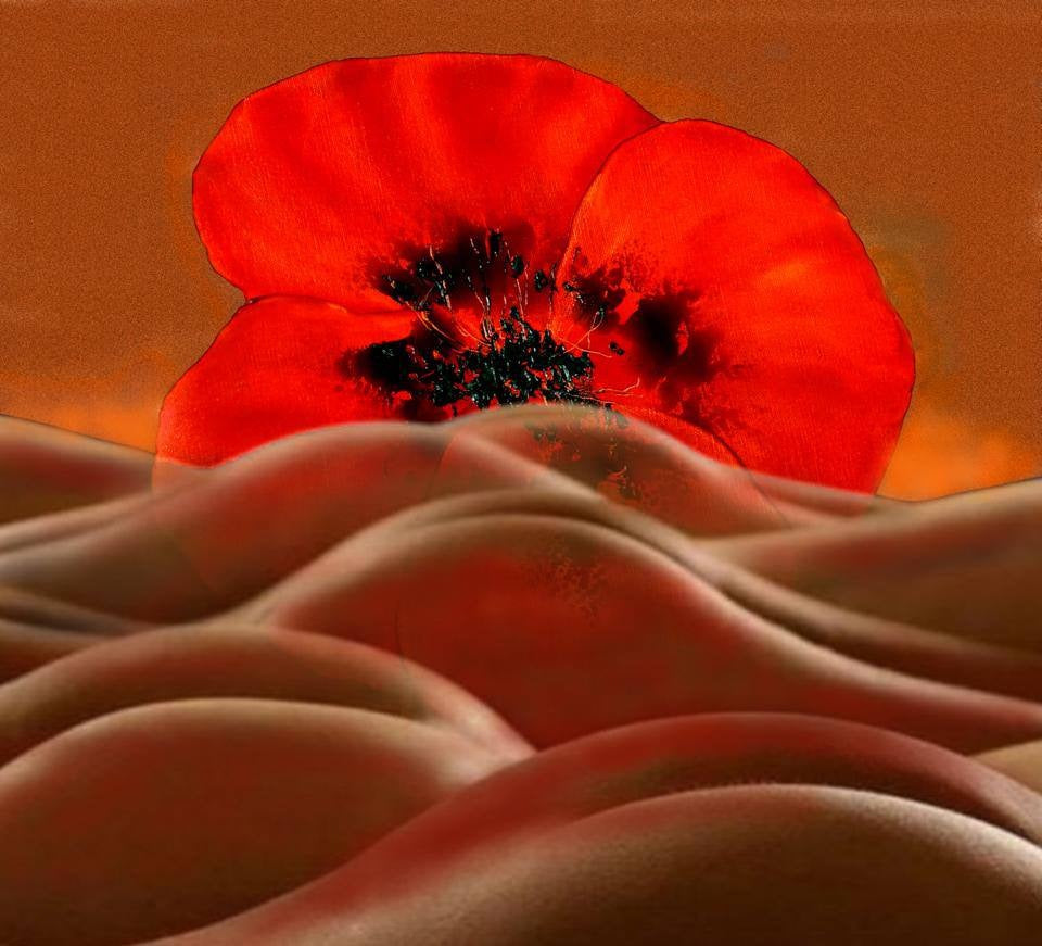 Coquelicots